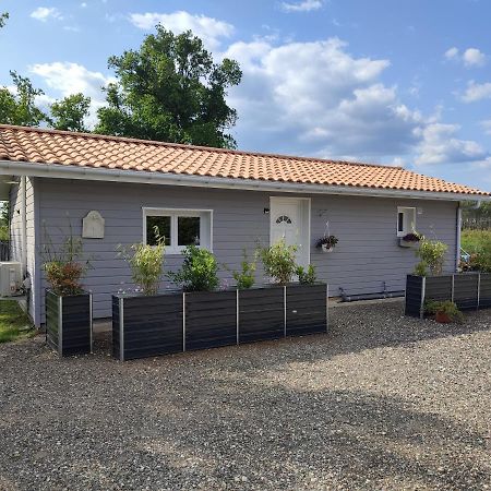 Family House Carcanaise Carcans Extérieur photo