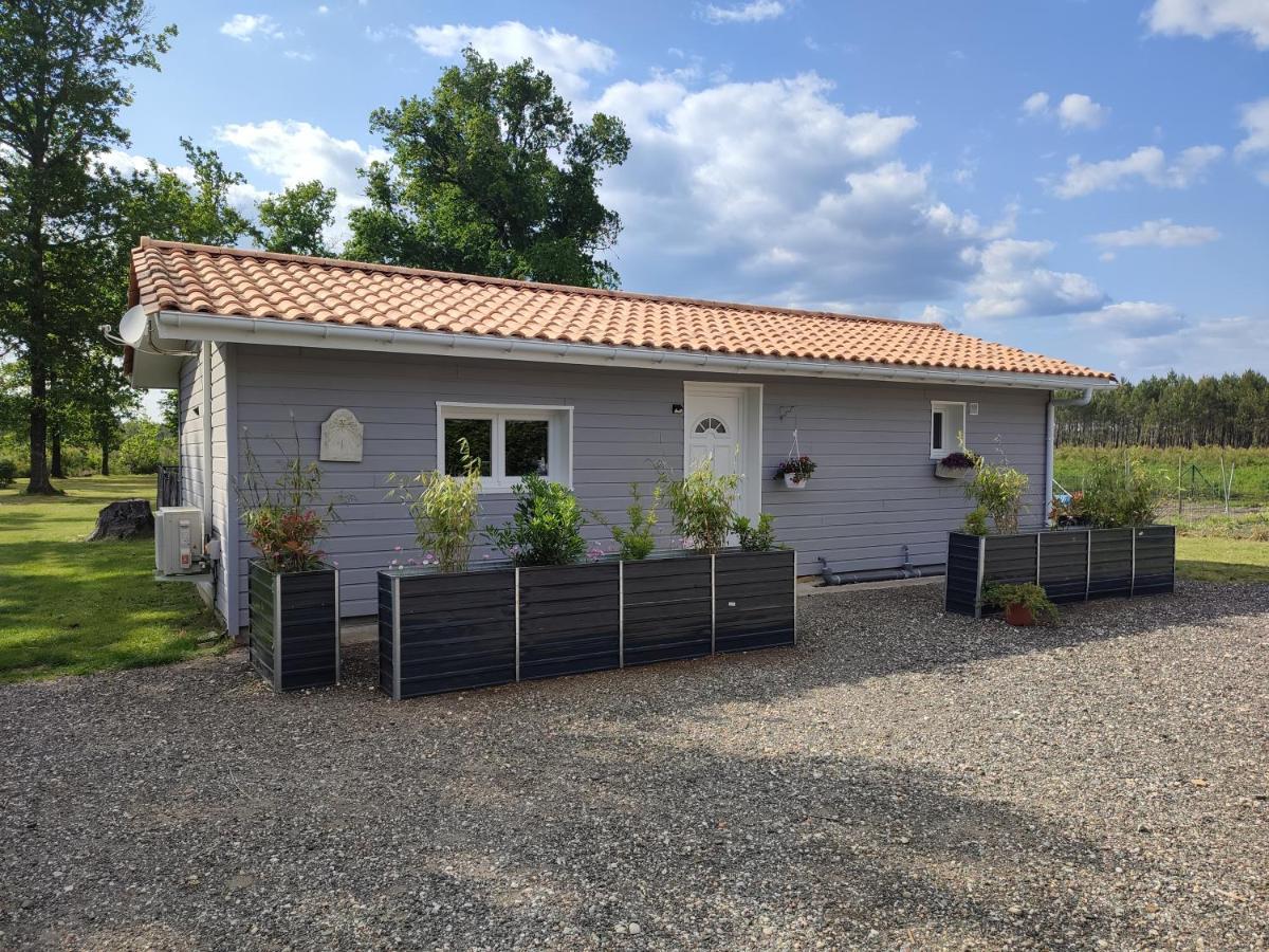 Family House Carcanaise Carcans Extérieur photo